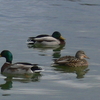 水月公園