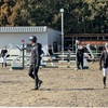 第57回茨城県馬術選手権大会