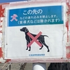 北海道百年記念塔