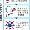 とうとうワクチンが・・・