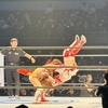 1309. 女子プロレス・スターダムを観た！！