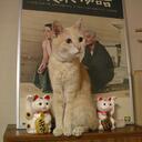 忘れて日が暮れりゃ、あしたになる