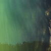 さ寝がには誰とも宿めど･･･巻第11-2780～2782