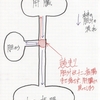 #16　8/2（水） 遂に正体が判明