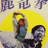 カンフー・シスター／麗竜拳