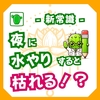 【初心者必見】夜にCO₂を吸収する？CAM植物の秘密と育成ポイント