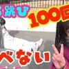 2月20日の動画