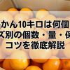 みかん10キロは何個？サイズ別の個数・量・保存のコツを徹底解説