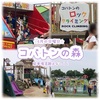 【コバトンの森】梅雨時期は晴れた日も油断すると泥まみれだけど楽しかった【日曜日の様子】