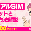 デュアルSIM活用術｜楽天モバイルをサブ回線にして通信費を節約！