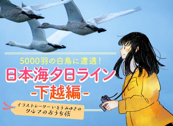 幻想的な白鳥の群れに遭遇！ 新潟県「日本海夕日ライン」ドライブ～イラストレーターいとうみゆきのクルマのおうち旅