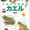 見て知って楽しいカエル図鑑「くらべてわかるカエル」