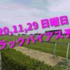 2020,11,29 日曜日 トラックバイアス予想 (東京競馬場、阪神競馬場)