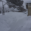 雪が降らずにいいのか悪いのか