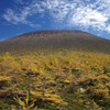 日本百名山　嬬恋村　浅間山（浅間外輪山エリア）　2019年10月20日