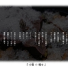 二十四節気 小雪 より 『小雪の報せ』