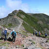 2023/6/25 南八ヶ岳で高山植物を楽しむ（硫黄岳・横岳・赤岳・阿弥陀岳）