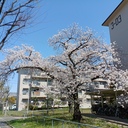 hiroeverydayの日記