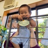 高い所が平気なのは見ている方が怖いです。