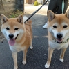 あやメモ