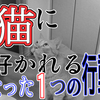 【猫好きに朗報】猫に好かれるための たった１つの行動