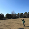 4、5歳児の凧あげ