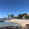 Hamakua10  ハワイ島旅行記 北西部へ １８