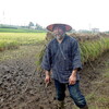飯能風土季稲刈り2015（五百万石）