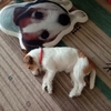 オビ練習