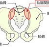 原因不明の腰痛 ①～その原因は仙腸関節にある！？痛みは腰痛にとどまらない？