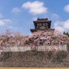 桜咲く天守閣のような家