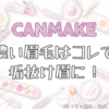 眉効果を追求！CANMAKEフィットスタイラーアイブロウとコンシーラーブロウマスカラ紹介