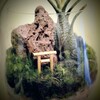 【園芸】初めての山苔ワークショップ