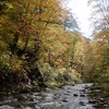 白神山地・暗門～赤石川～大川