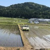 6月パン作り 空席状況