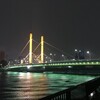 隅田川テラス6キロ：なぜか走っている時だけ雨が降るw