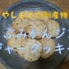 こぶみかんジンジャークッキーって、どんな味？