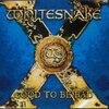 WHITESNAKE 「GOOD TO BE BAD」