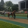 3戦2勝は大満足！！