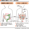 じじぃの「炎症・ステロイド・生物製剤・ヒュミラ！はじめて大全」