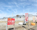 豊田市内でも楽しめる！「うめこう桃梨苺園」のいちご狩り【愛知県・豊田】