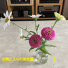 庭の花