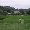 野山北公園　大自然塾