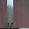 【ペット】早く帰ってこないかな