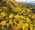 旭岳の紅葉時期に散策！見頃・混雑・熊出没・駐車場・姿見食堂を詳しく紹介！