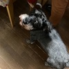 ふくすけ特集やっちゃうよ