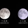 十三夜（今年も揃って観月）