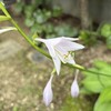平和の詩