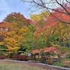 墓参りと紅葉狩り
