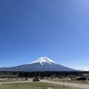 おっちょころぐ 262：ニカ復活おめでとう！